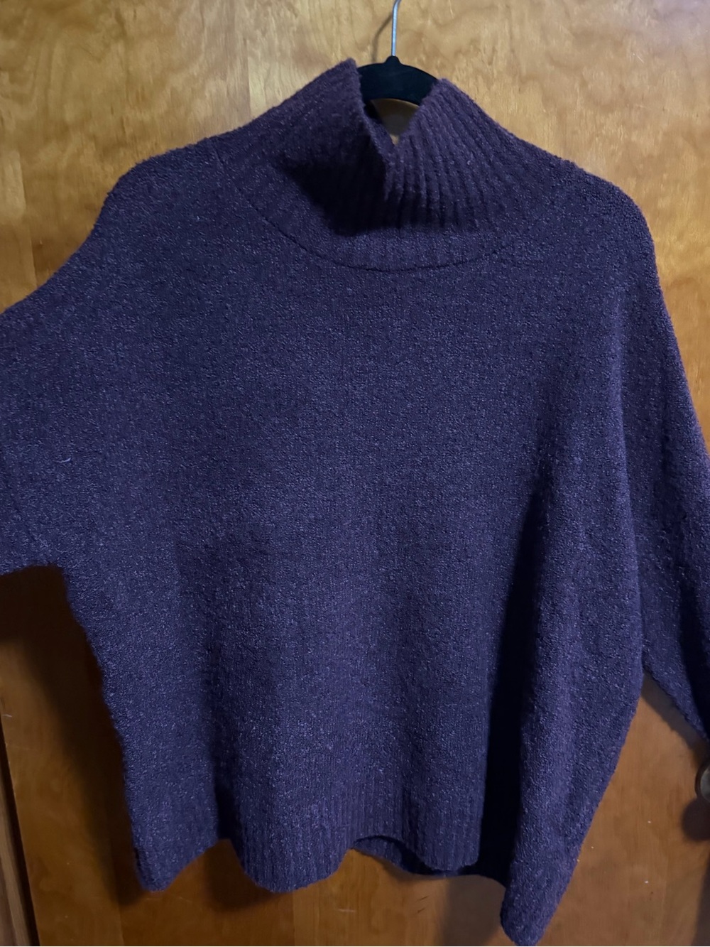 Rachel Zoe Men's Turtleneck Sweater in Plum